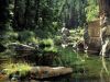 /album/kepgaleria/calm-pond-jpg/