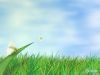 /album/kepgaleria/fly-away-jpg/