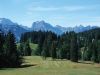 /album/kepgaleria/forrest-05-jpg/