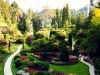 /album/kepgaleria/forrest-garden-jpg/