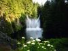 /album/kepgaleria/forrest-splash-jpg/