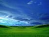 /album/kepgaleria/grassy-jpg/