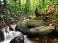 /album/kepgaleria/normal-babblingbrook-jpg/