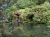 /album/kepgaleria/red-bridge-jpg/