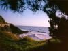 /album/kepgaleria/sea-cliff-side-jpg/